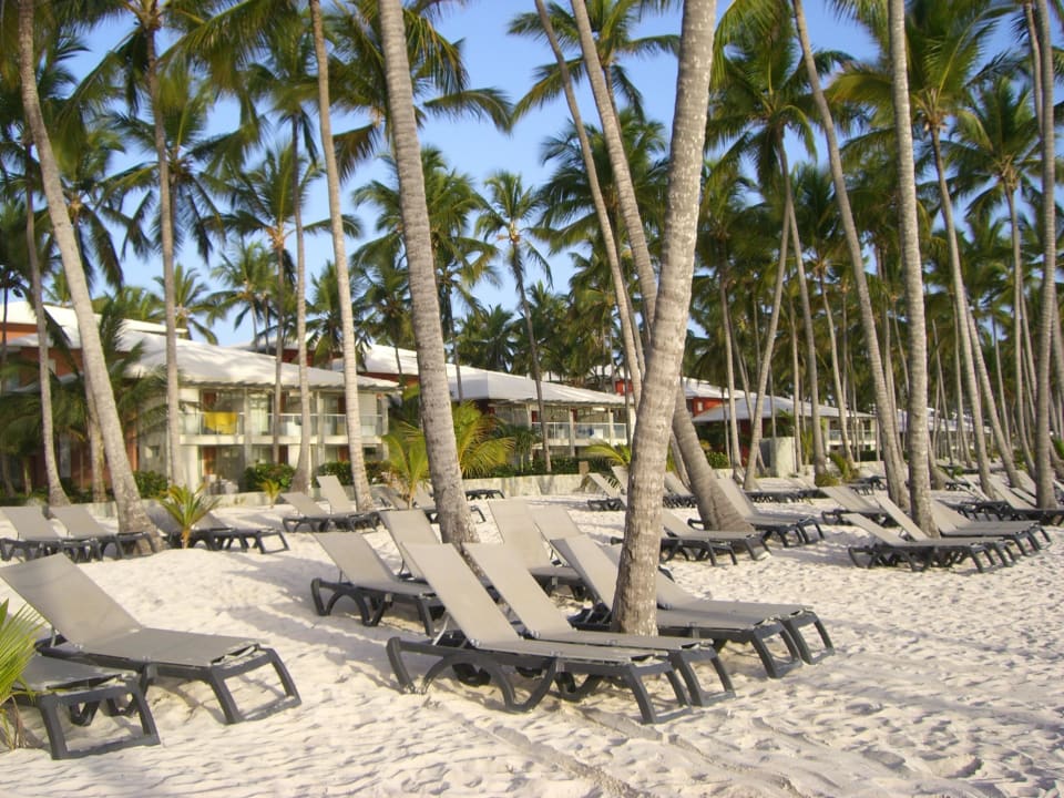 Liegen Barceló Bávaro Palace