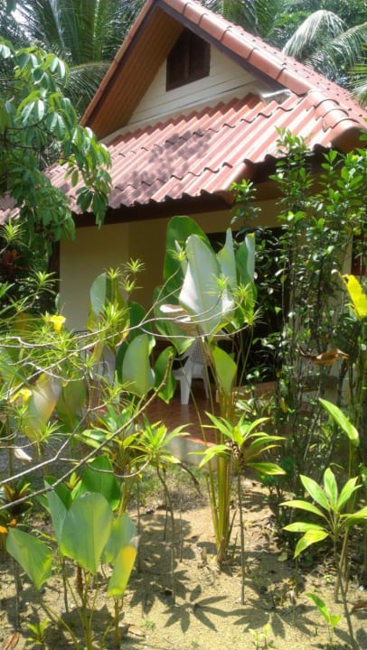 Einer der Bungalows Hotel Khaolak Riverside Bungalow