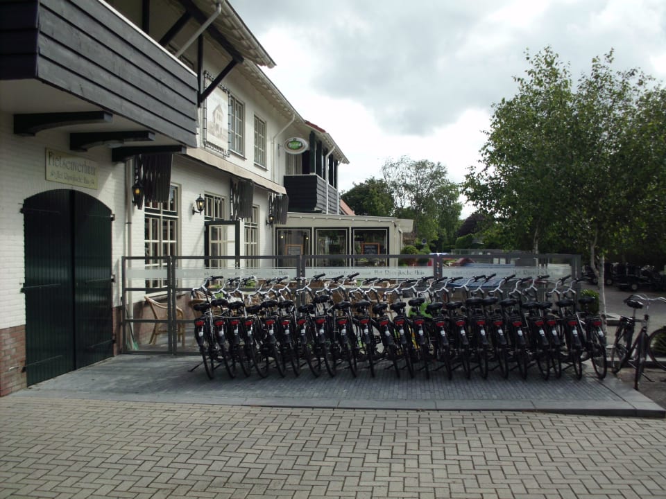 Hotel  Hotel Het Rijswijkschehuis