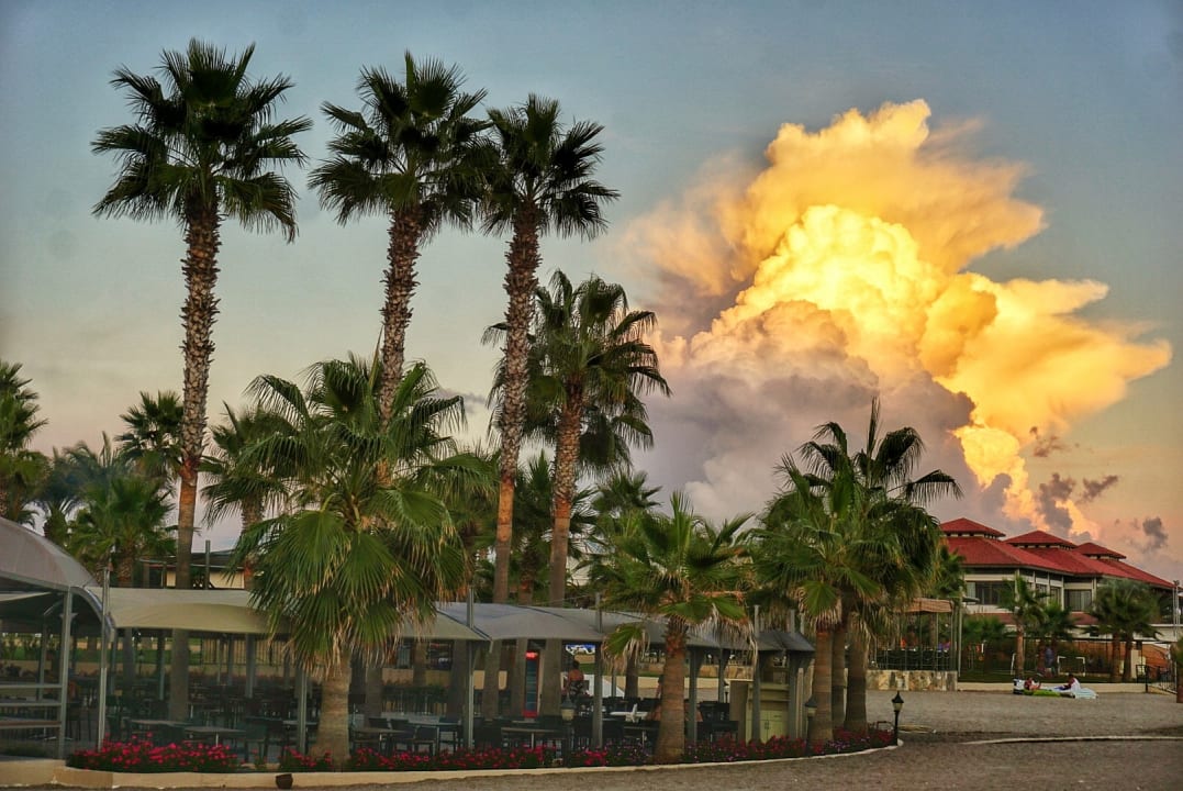 Gastro TUI BLUE Palm Garden