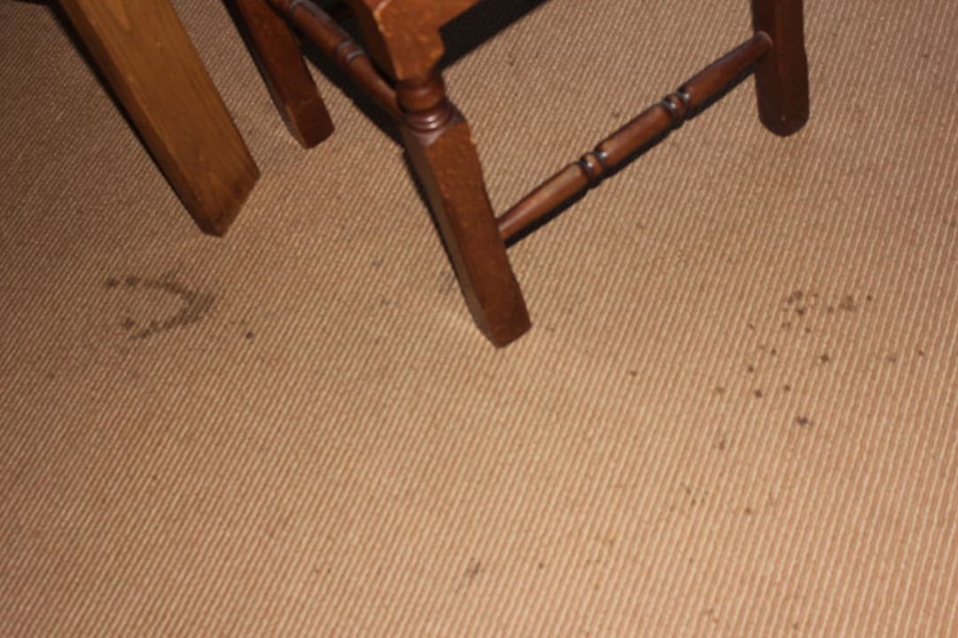 Rotweinflecken auf dem Boden Hotel Regina Sankt Augustin