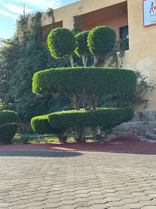 Gartenanlage Wadi Lahmy Azur Resort