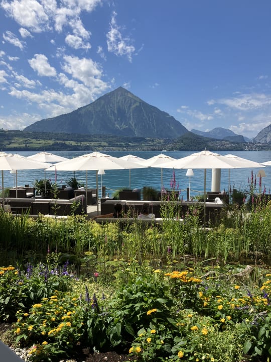 Ausblick Beatus Wellness- & Spa-Hotel