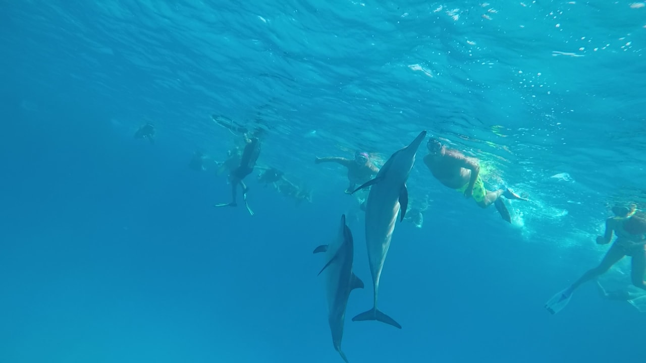 Sport & Freizeit Casa Mare Resort