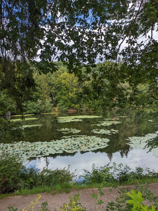 Ausblick Romantischer Winkel RoLigio® & Wellness Resort