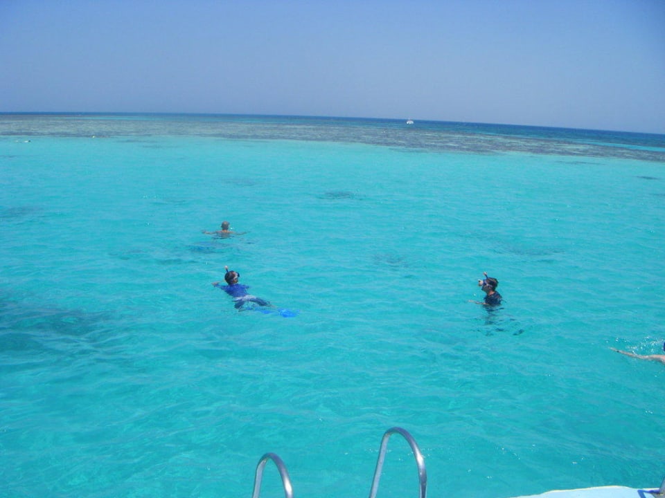 Snorkelling Club Paradisio El Gouna, Red Sea