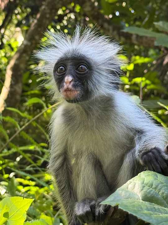 Sport & Freizeit TUI Blue Bahari Zanzibar