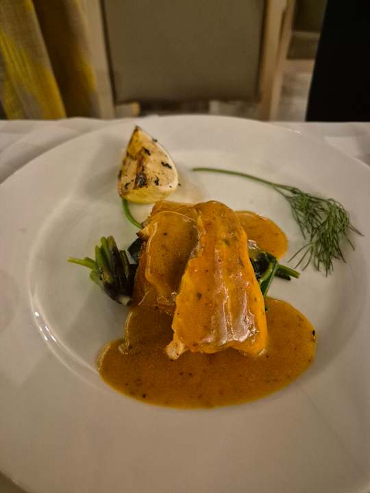 Gastro Seashell Vega