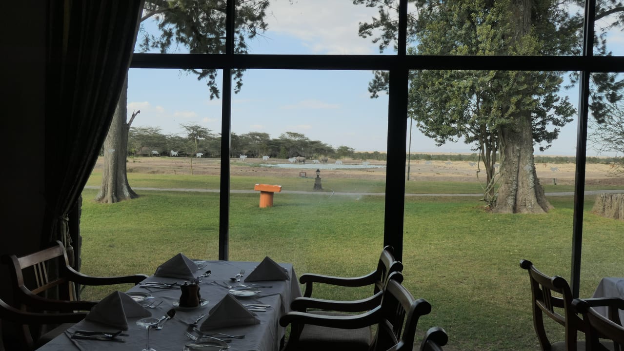 Gastro Sweetwaters Serena Camp