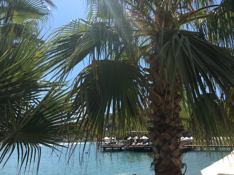 Ausblick Green Bay Resort & Spa