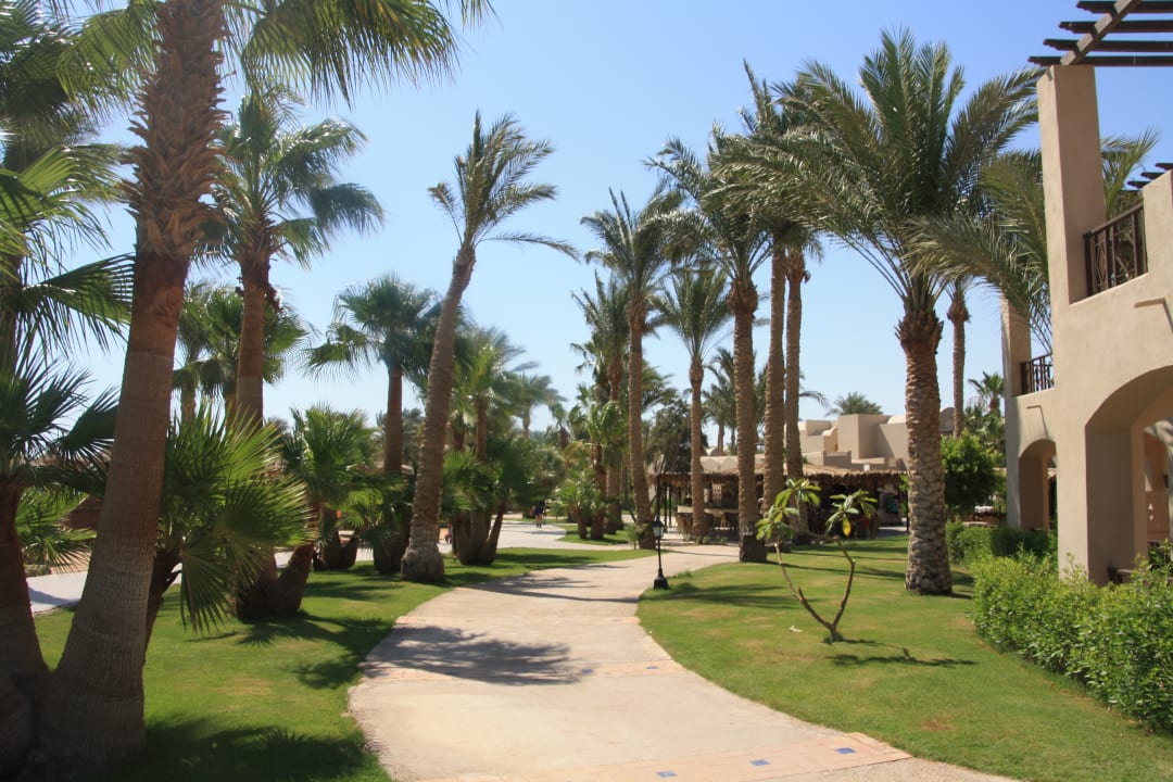 Garten Jaz Makadi Oasis Resort