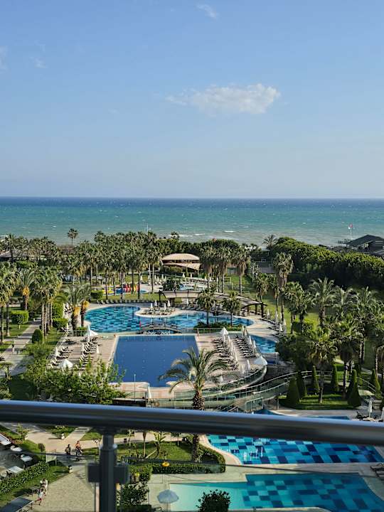 Zimmer Sherwood Exclusive Lara