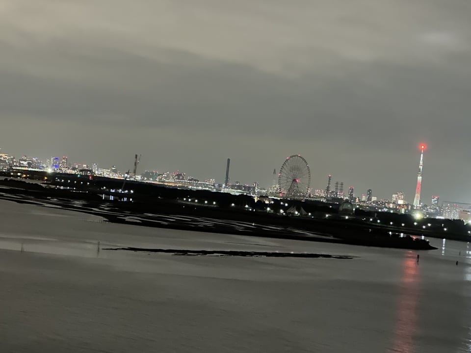 Ausblick Hilton Tokyo Bay