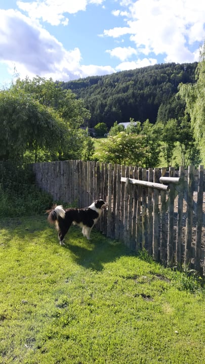 Gartenanlage Bauernhof Pichlerhof
