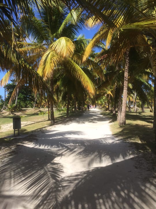 Palmenweg Villas Bavaro Resort & Spa