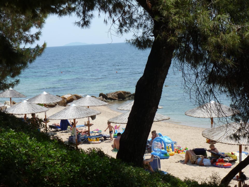 Einer von 3 Strandbuchten Blue Dolphin Resort Hotel
