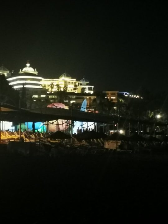 Strand Leodikya Kirman Premium