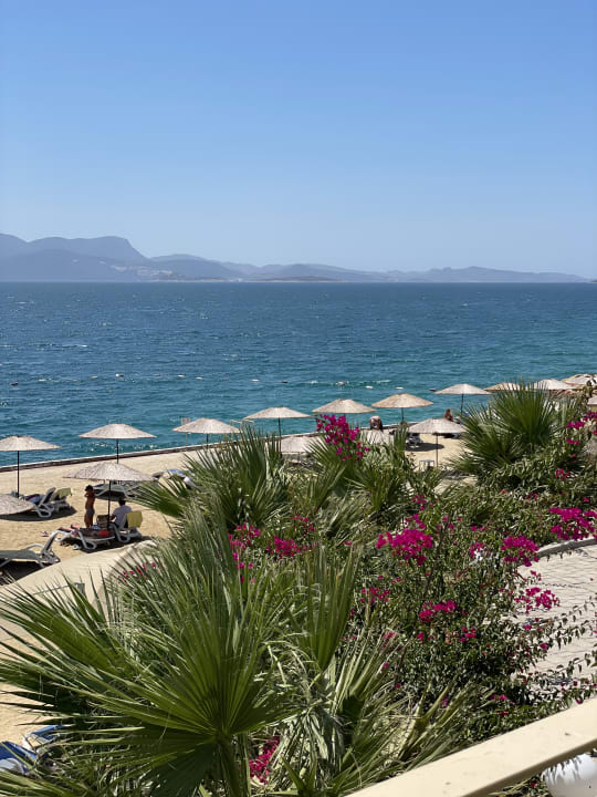 Strand La Blanche Island Bodrum