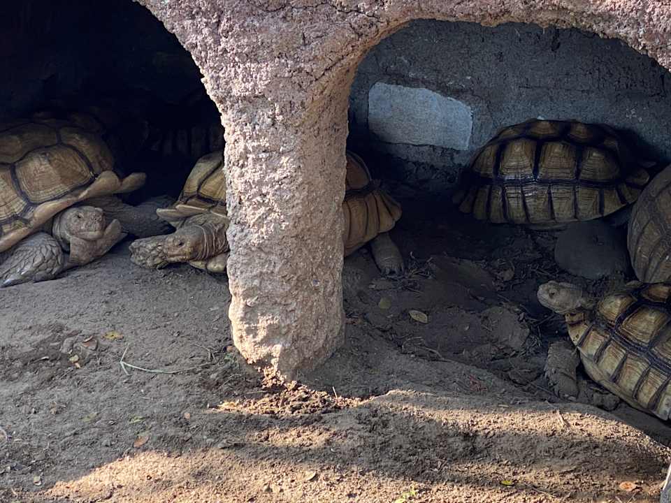 Gartenanlage Aston Cirebon Hotel and Convention Center
