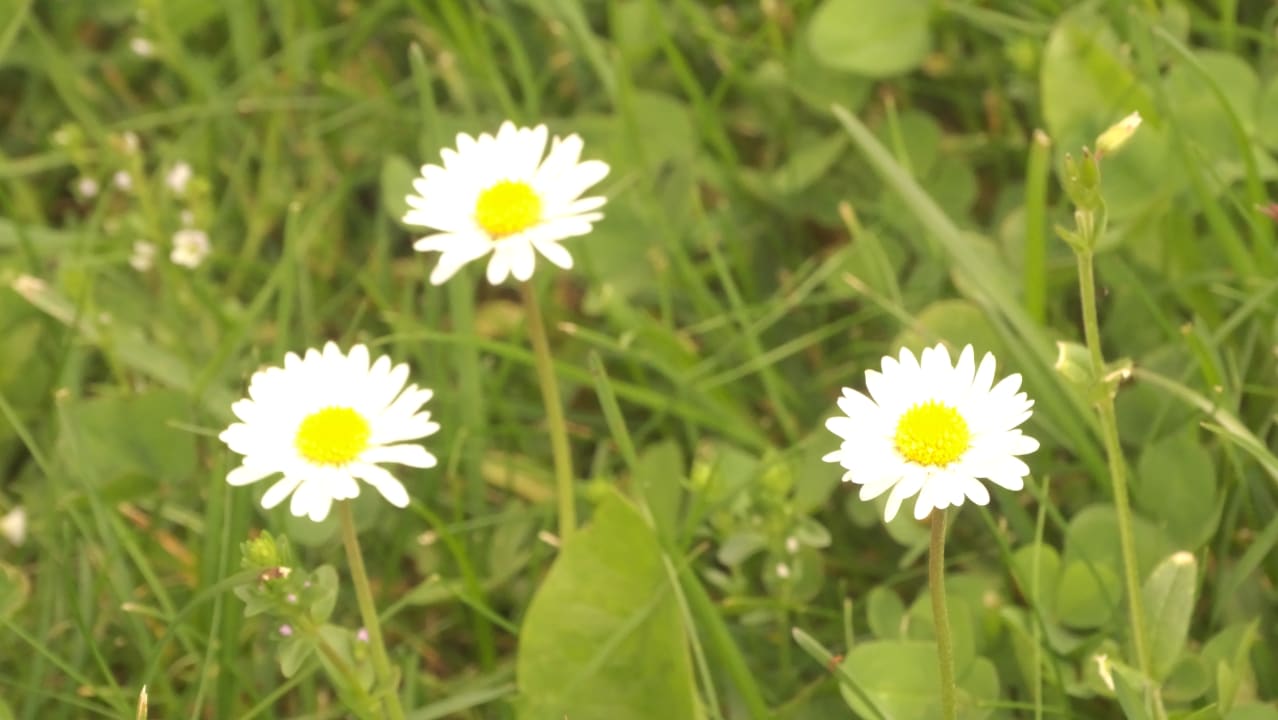 Sonstiges Appartement Vorderlengau