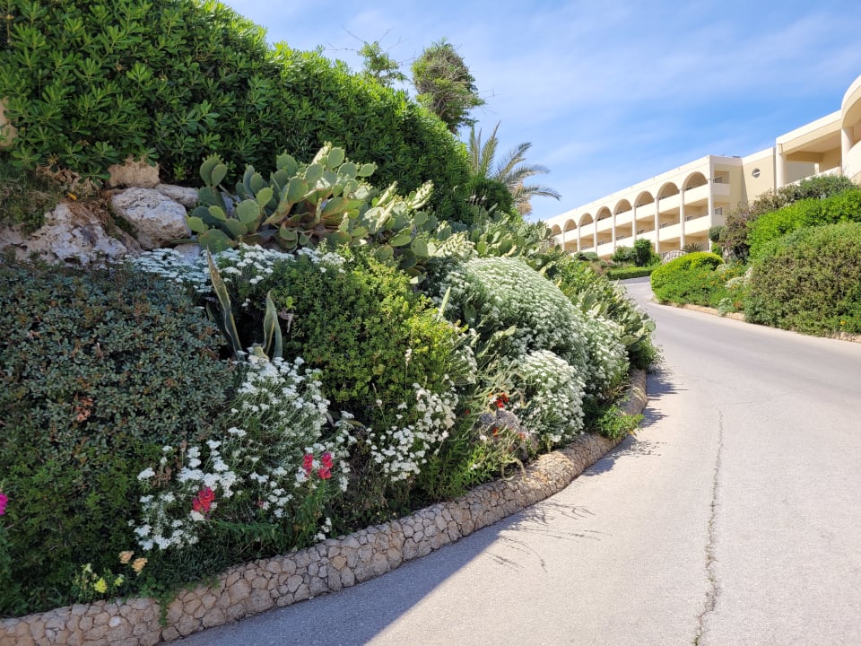 Außenansicht Hotel Kalithea Horizon Royal