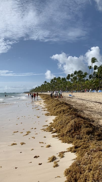 Strand Iberostar Selection Coral Bávaro