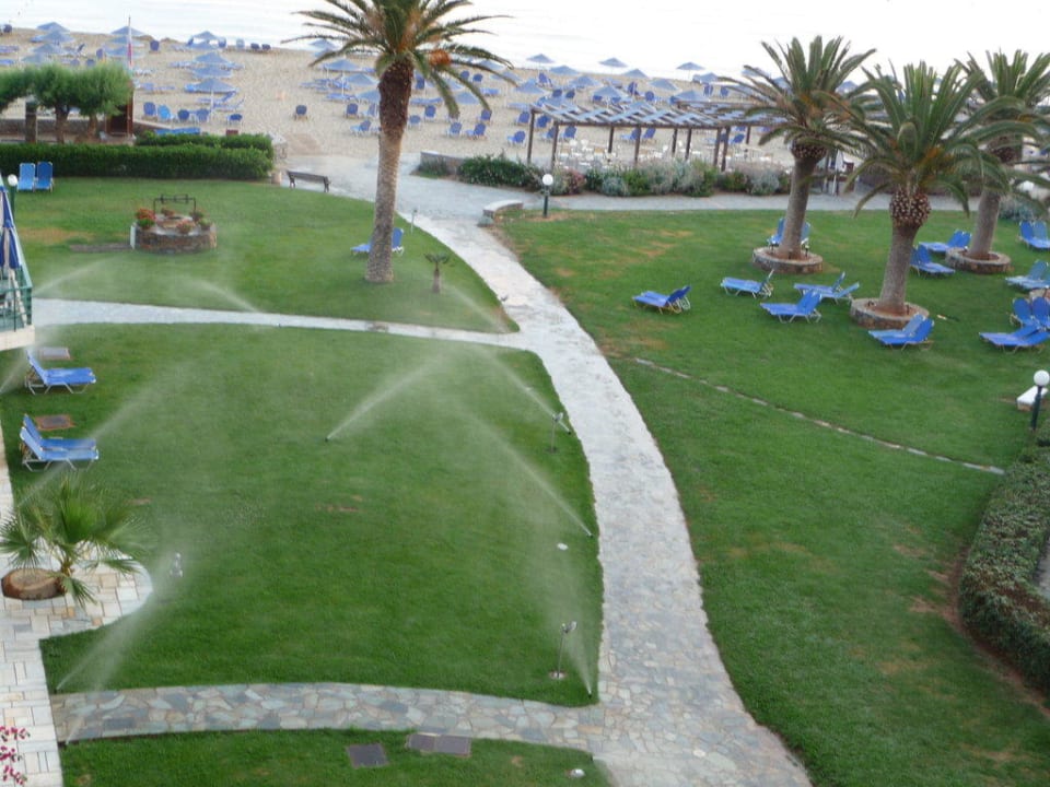 Bewässerung zeitig in der Früh Calimera Sirens Beach