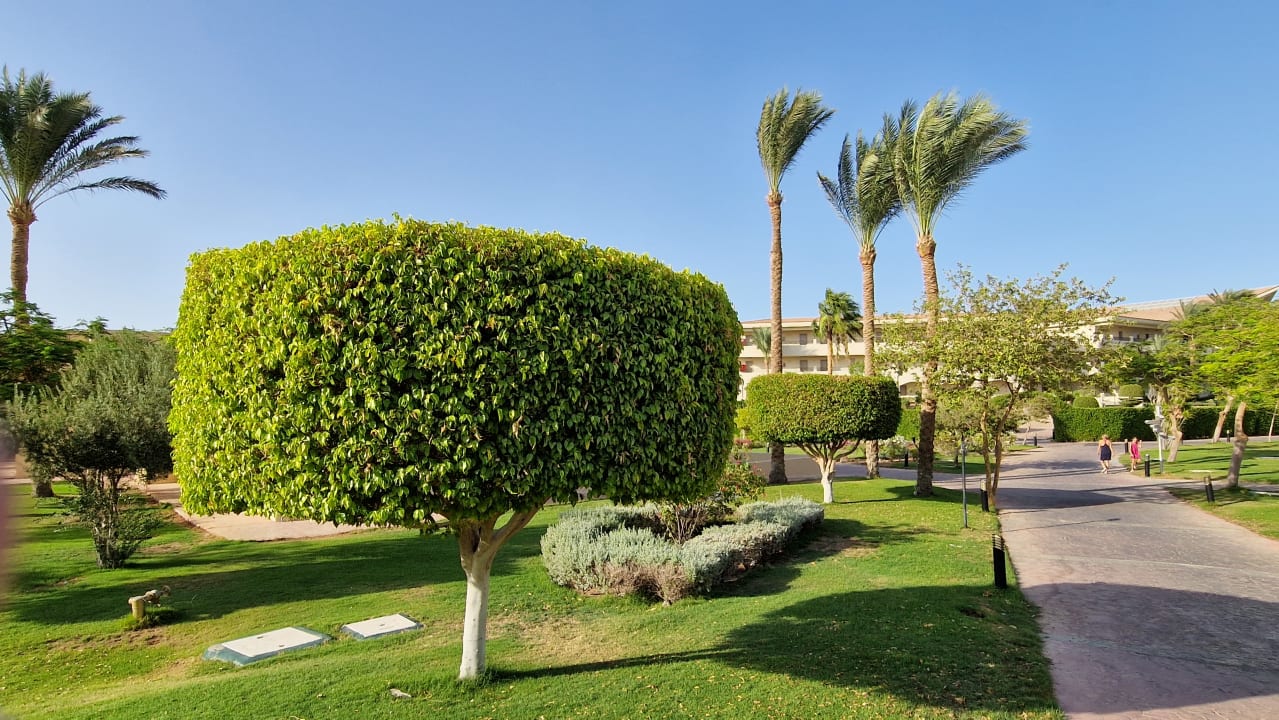 Gartenanlage Cleopatra Luxury Resort Makadi Bay