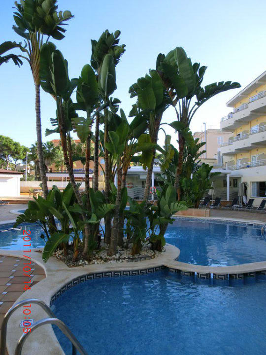 Herrliches Wetter am Pool Grupotel Acapulco Playa - Adults Only