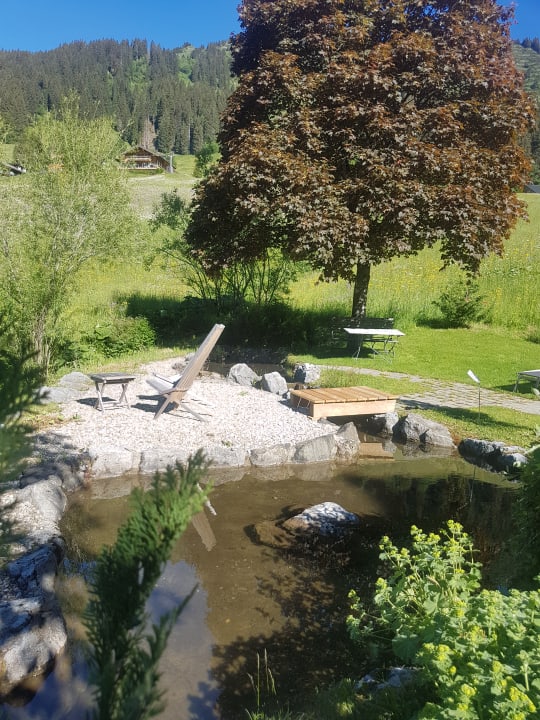Gartenanlage Hotel Steinbock