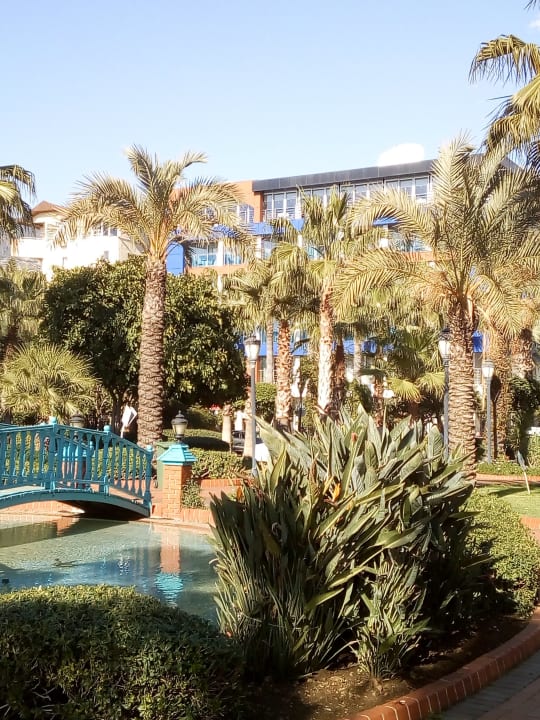 Ausblick Gardenia Hotel