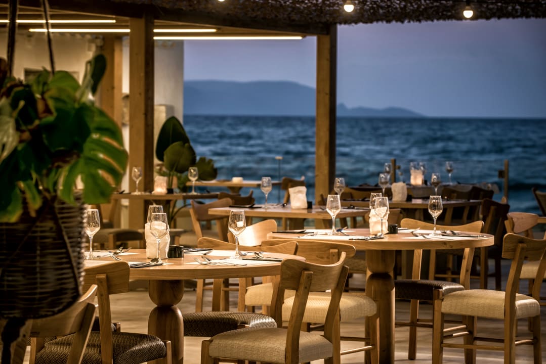 Gastro Enorme Maya Beach