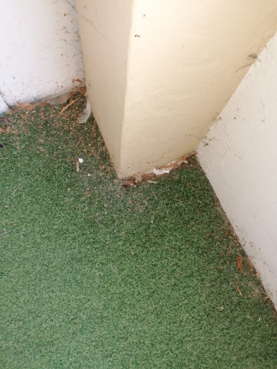 Zimmer Ferienwohnungen Ferienpark Weissenhäuser Strand