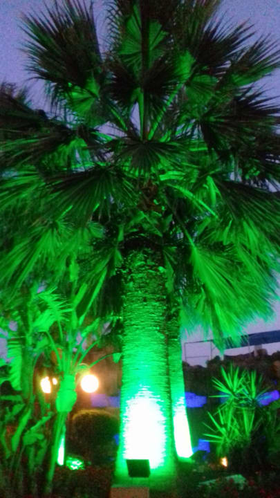 Gartenanlage VONRESORT Golden Beach