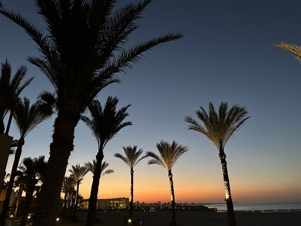 Gartenanlage Steigenberger Coraya Beach - Adults only