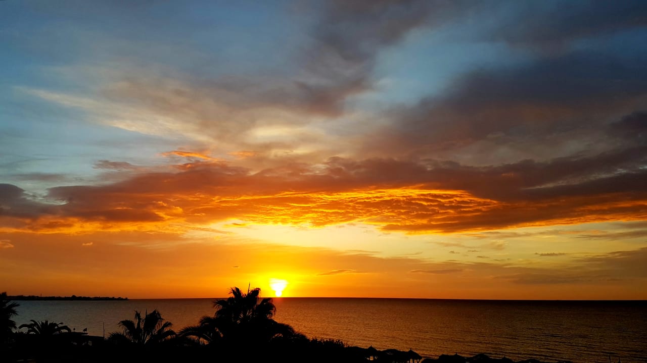 Ausblick The Orangers Beach Resort and Bungalows