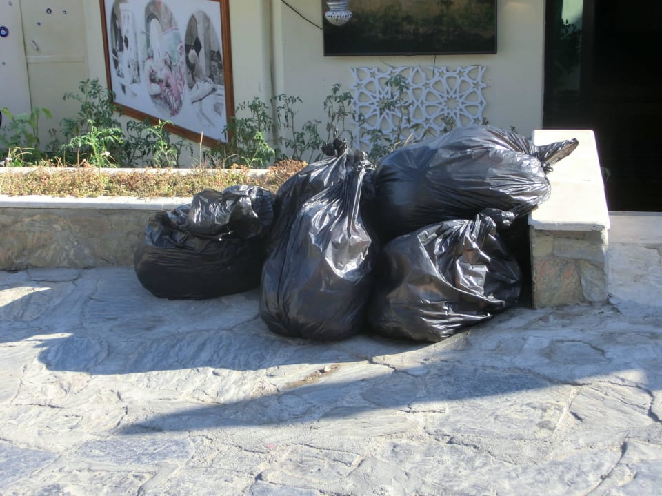 Täglicher Anblick. Club Resort Atlantis