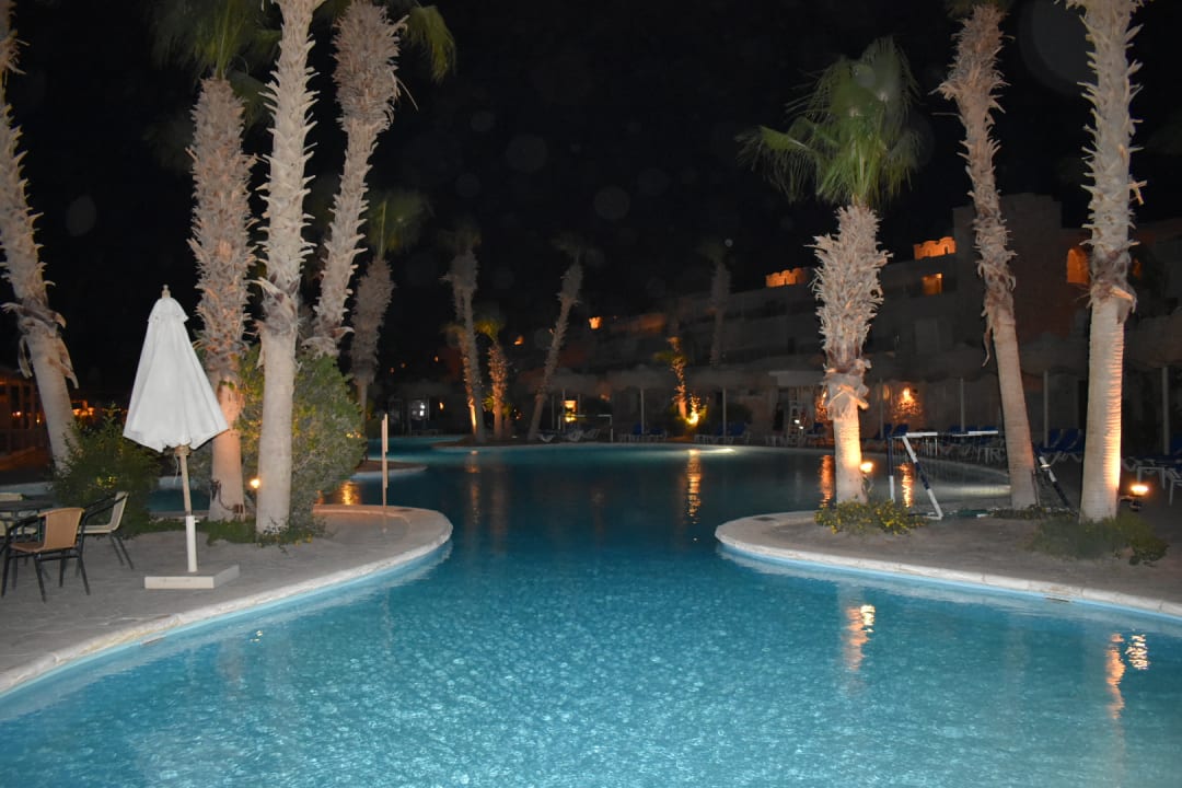 Pool Pickalbatros Citadel Resort