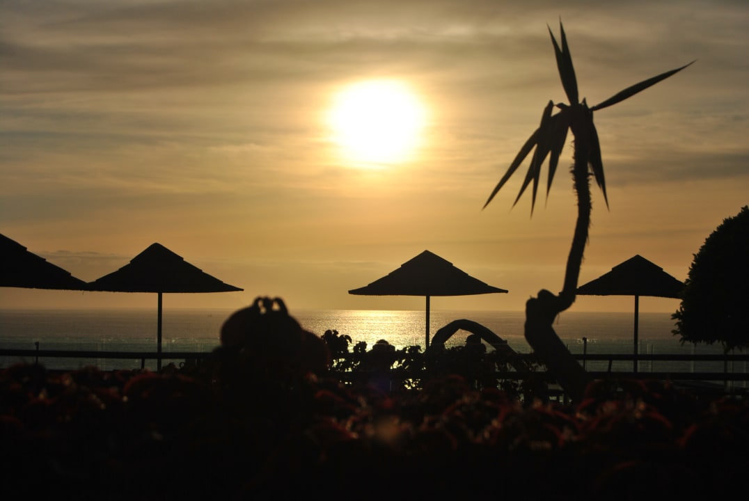Ausblick Barceló Santiago - Adults Only
