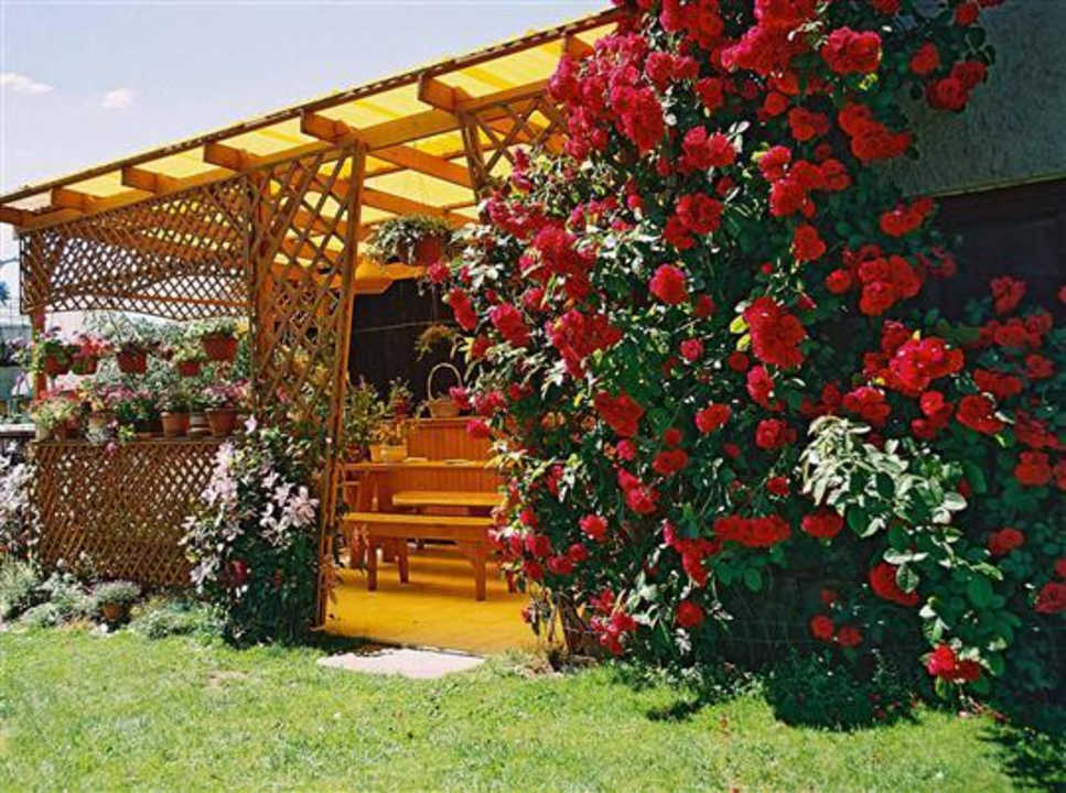 Posezení v pergole Pension Kraus