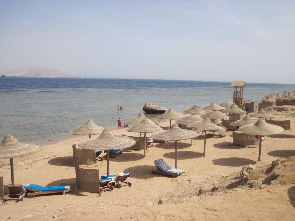 Freie Liegen gibts immer Charmillion Sea Life Resort