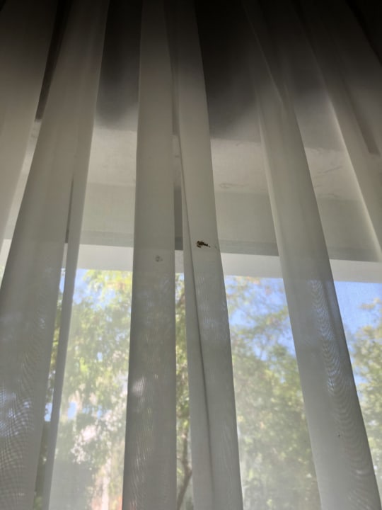 Zimmer Hotel Sultan of Side