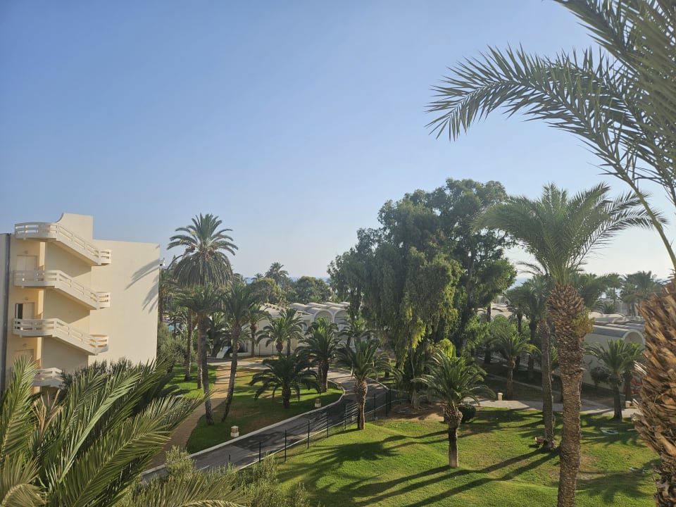 Ausblick Hotel Marhaba Club