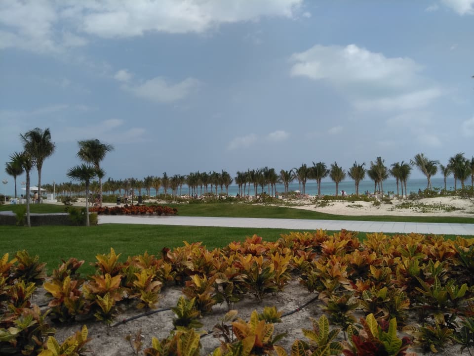Blick vom Pool Richtung Strand Hotel Riu Dunamar
