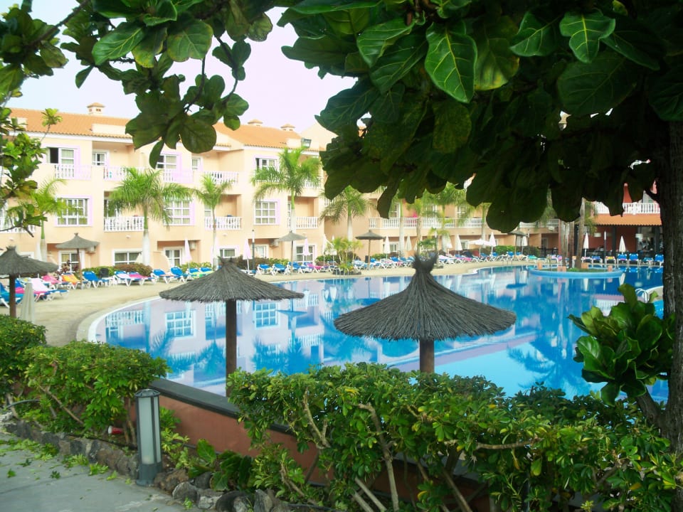 Der große Pool Hotel El Duque