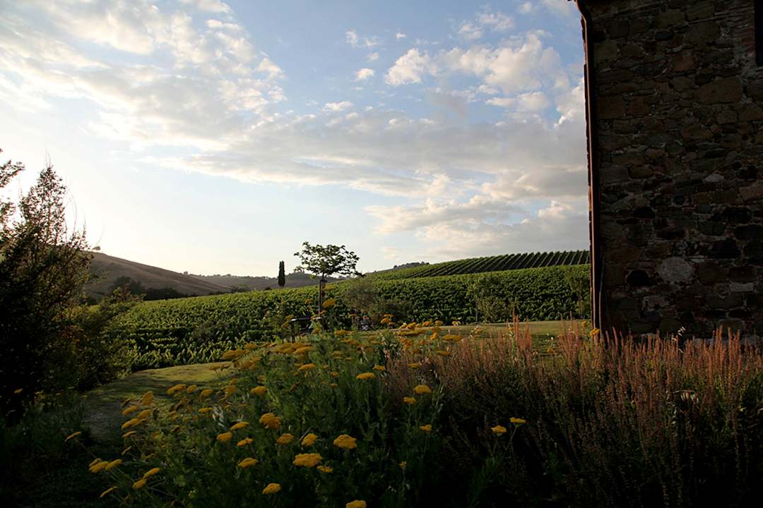 Ausblick Follonico Agritourism