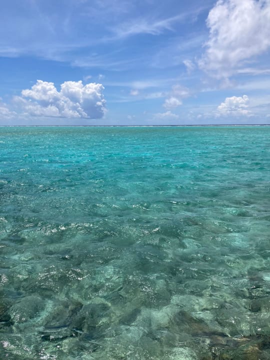 Ausblick Summer Island Maldives