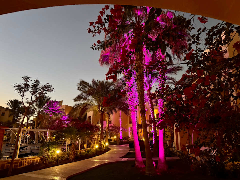 Gartenanlage Steigenberger Coraya Beach - Adults only