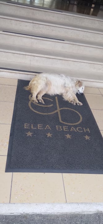 Sonstiges Elea Beach Hotel