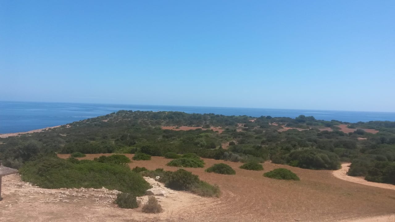 Ausblick CM Playa del Moro